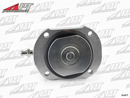 Brake piston with cylinder front  Lancia Fulvia + Flavia 21/8