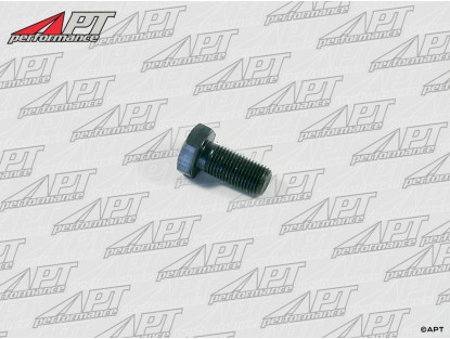 Flywheel bolt 1700 - 2000 IE -  TS (12 x 1,25)