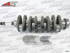 Rebuilt crankshaft with bearings 2000 105