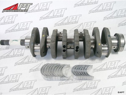 Rebuilt crankshaft with bearings 2000 105