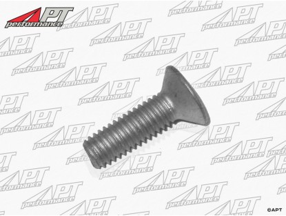 Screw for brake discs 1300 - 2000 105 -  115 -  75