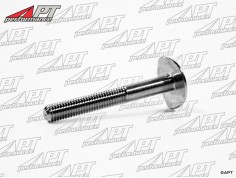 Screw for windscreen frame Touring + 750 / 101 Spider