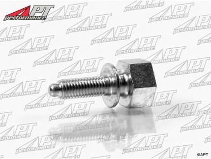 Spare wheel hold down screw 750 -  101 Spider