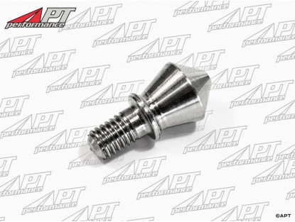 Hubcap bolt 1900 -  2000 -  2600 INOX V2A