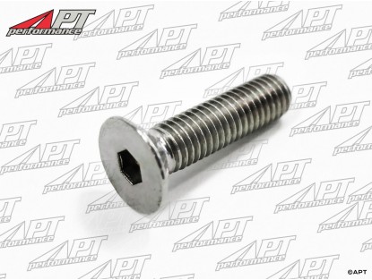 Screw for door striker plate Spider -  GT Stainless Steel