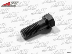 Propshaft bolt 105 -  115 (9mm)