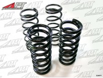 Lowering spring set 750 -  101 Spider -  Sprint