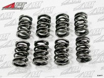 Set (16pcs) performance valve springs 105 -  101 -  TS