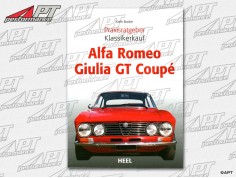 Praxisratgeber Klassikerkauf: Alfa GT Bertone
