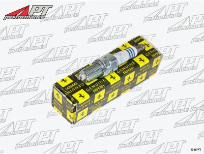 Spark plug Ferrari 550 -  575 -  612