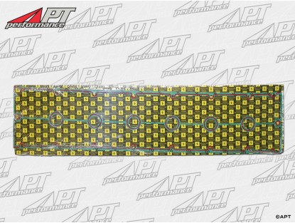 Valve cover gasket  Ferrari  550 -  456  right or left