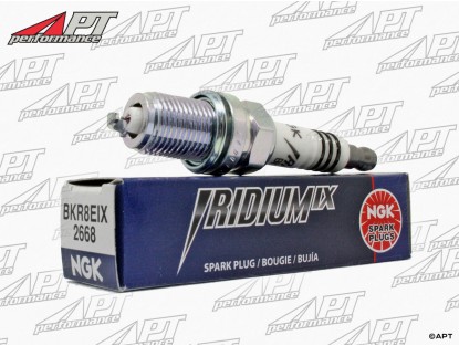 Spark plug NGK BKR8EIX IRIDIUM 1750 - 2000 GTAm