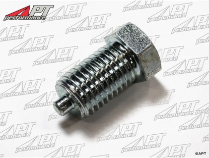 Screw for timing chain tensioner 1300 - 2000cc