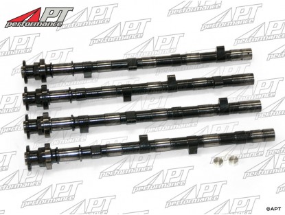 Sport cam Shaft Set Ferrari 308