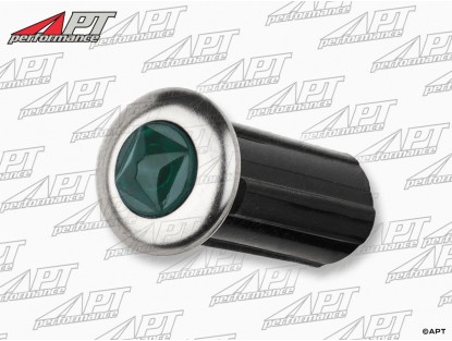 Indicator lamp housing for head lights (green)