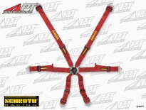 Schroth Profi 2x2 red 6-point racing safety belt FIA