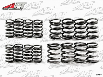 Set (16) valve springs 1300cc 750 Giulietta