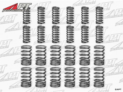 Set (24) valve springs 2600 Spider -  Sprint -  Berlina