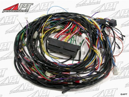 Electrical wire harness 2000 Berlina