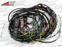 Electrical wire harness 2000 Sprint (102) 102.05