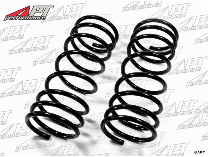 Lowering spring set Eibach 75 -  Alfetta GTV6 (30mm)