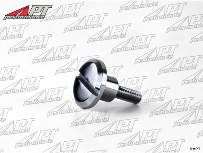 Inner seat rest screw (slotted) 1300 - 1600 GT Junior