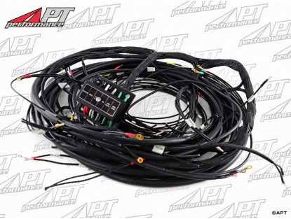 Electrical wire harness 750 D - F Giulietta Spider 1956