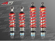 Suspension Kit Bilstein Eibach Ferrari 308