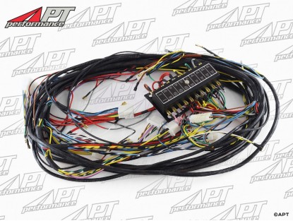 Electrical wire harness Giulia Super 1600