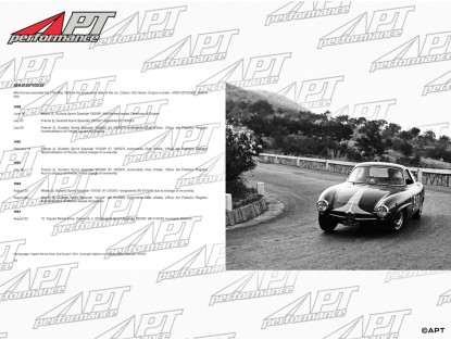 Alfa Romeo Sprint Speciale