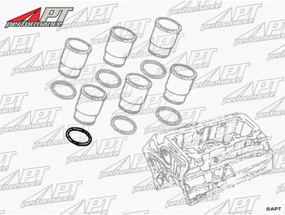 Cylinder liner seal REINZ 2500 V6, 88 mm