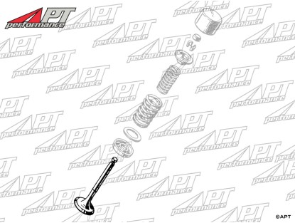 Intake valve Sport 2000cc (45mm)