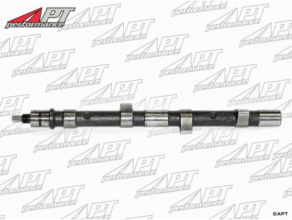 Camshaft Spider IE + 75 IE (with phase displacment)