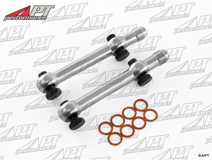 Fuel pump connection set (Facet) 1/8 NPT