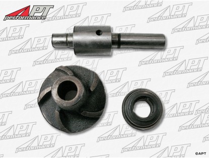 Water pump repair kit 1900 / 2000