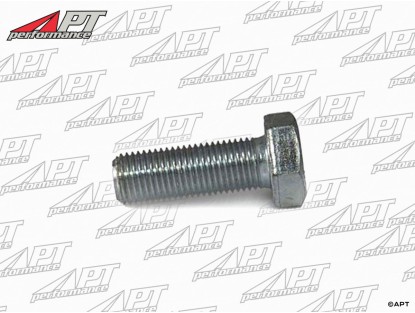 Propshaft bolt 750 / 101 / 105 / 115 (8mm)