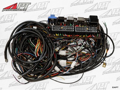 Electrical wire harness Ferrari 365 GT 2+2 (Queen Mary)