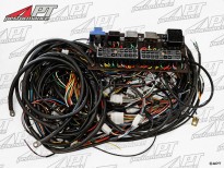 Electrical wire harness Ferrari 365 GT 2+2 (Queen Mary)
