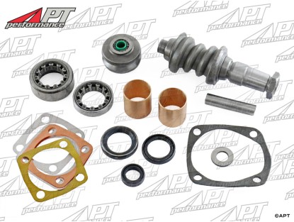 Repair kit for steering box Alfa 2000 / 2600 models AR4