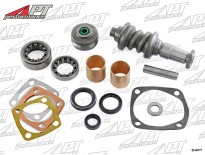 Repair kit for steering box Alfa 2000 / 2600 models AR4