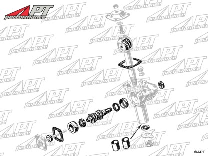 Repair kit for steering box Alfa 2000 / 2600 models AR4