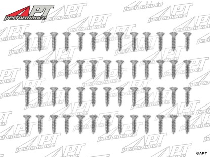 Set (52) door seal bracket stainless screws GTV Bertone