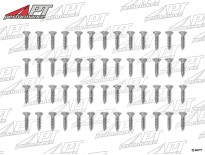 Set (52) door seal bracket stainless screws GTV Bertone