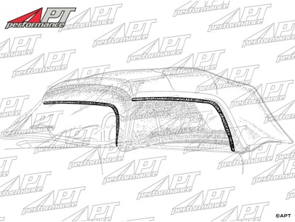 Set (2) side window soft top seals 750 / 101 Spider