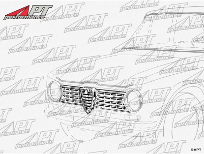 Front grille Giulia 1300 TI