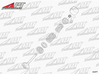 Valve shims 9mm x 2,450