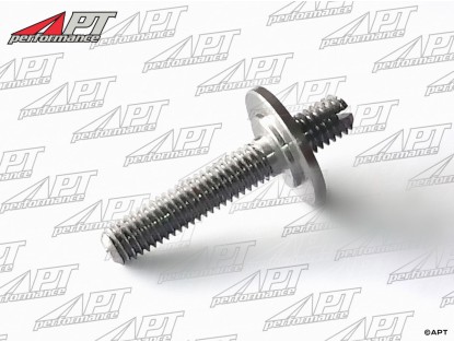 Front triangle window adjusting bolt Bertone