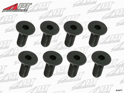 Door hinge bolt set (8) GT Bertone