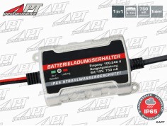 Battery maintaining charger 6/12V 750mAh