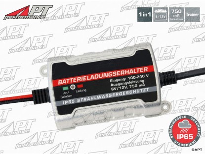 Battery maintaining charger 6/12V 750mAh
